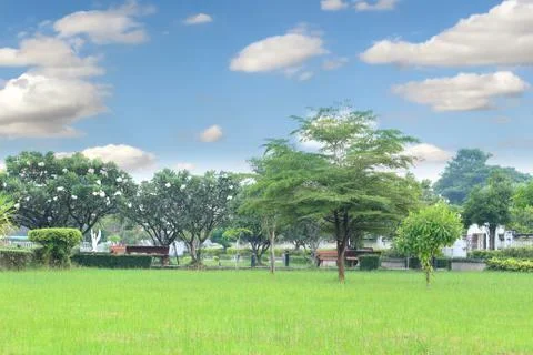 Garden on blue sky Stock Photos