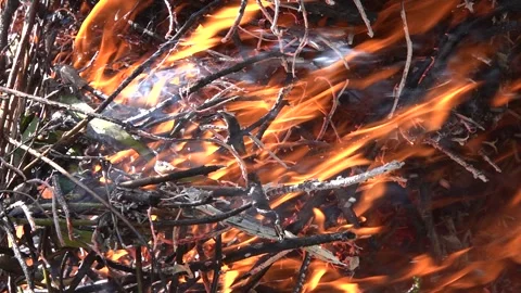 Garden bonfire in slow motion Stock Footage 266283041
