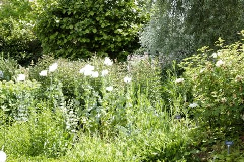 Garden border Stock Photos