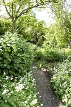 Garden border Stock Photos