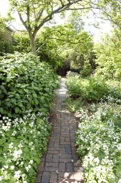 Garden border Stock Photos