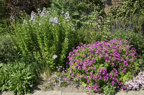 Garden border Stock Photos