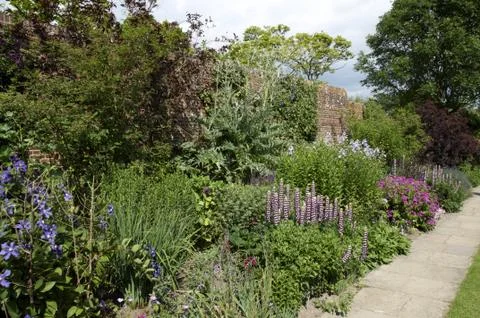 Garden border Stock Photos