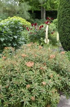 Garden border Stock Photos