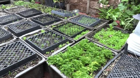 Garden Boxes 库存影片 77517772