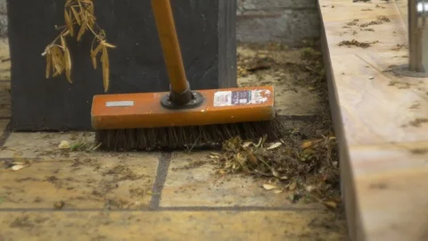 Garden brush Stock Footage 94629765