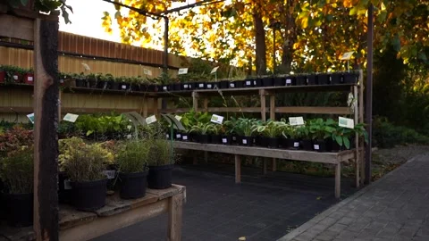 Garden center Stock Footage 146766427