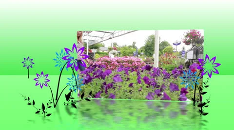 Garden center montage Stock Footage