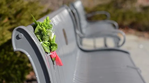 Garden chair Video stock 129807915