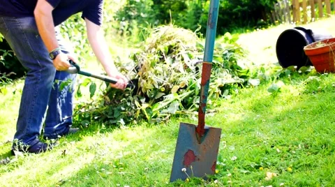 Garden Clear Up 動画素材 41582565