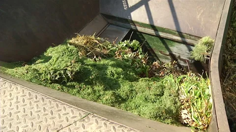 Garden Clippings - Disposal in Compactor Stock Footage 52995829