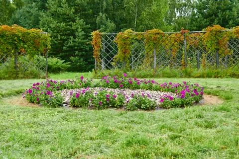 Garden on a cloudy day Stock Photos
