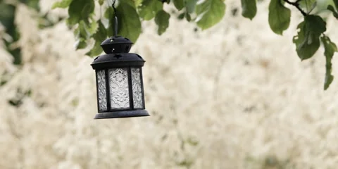 Garden Colony Lantern Stock Footage 321139710