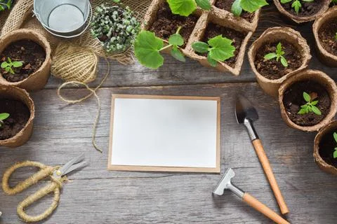 Garden composition with a kraft envelope and seedlings and garden equipment Stock Photos