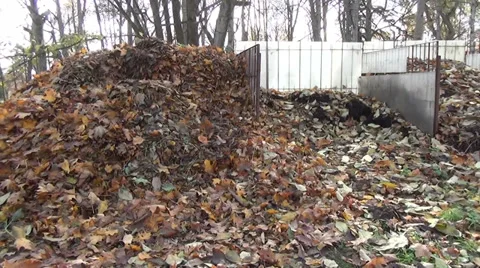 Garden compost leaves Stock Footage 35341674