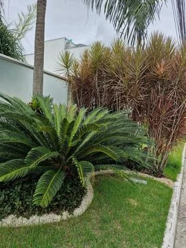 Garden in the condominium Foto stock