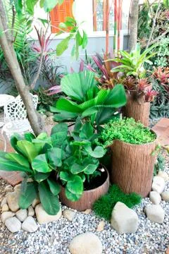 Garden corner 스톡 사진