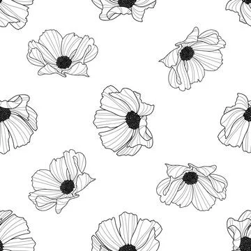 Garden cosmos flower repeat pattern, vector, black and white Stock Illustration
