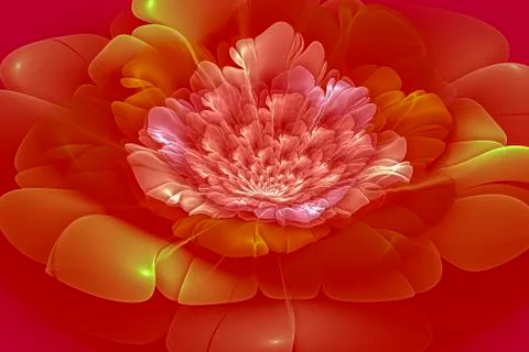Garden, Creative background with large petal flower, decorative image for adv Stock Illustration