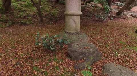 Garden at Daigoji Buddhist Temple in Kyoto, Japan Stock-Footage 58759341