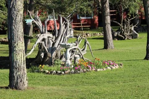 Garden With Dead Tree Bleached Mixed Flowers Bird Bath Birdhouse Stock Photos