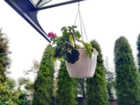 Garden decor Stock Photos