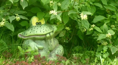 Garden Decoration Frog Video stock 11700296