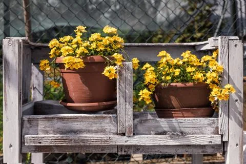 Garden decoration outdoor 写真素材