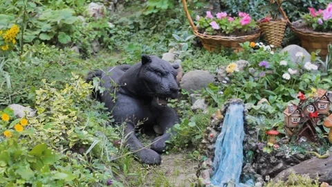 Garden decorations cat  design  head flower Video stock 111665909