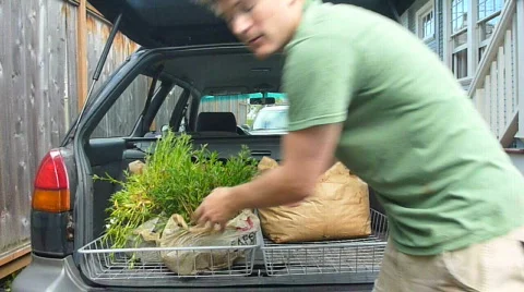 Garden Delivery 2 of 2 Stock Footage 701306