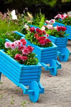 Garden design elements landscaping Stock Photos