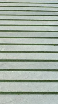 Garden design rectangular shapes on artificial turf Stock Photos