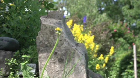 Garden Disclosure 2 Video stock 27565327