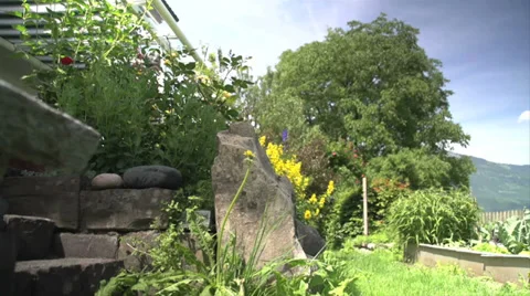 Garden disclosure Video stock 27564644
