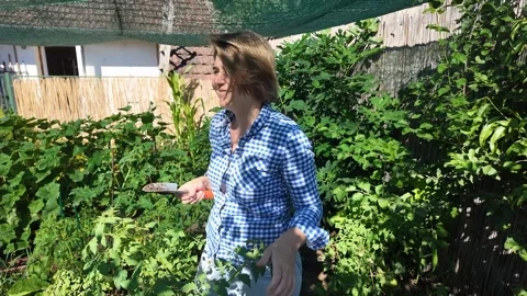 Garden Enjoyment Stock Footage 312945265