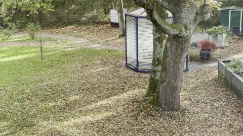 Garden in Fall / Autumn Vidéo 320890077