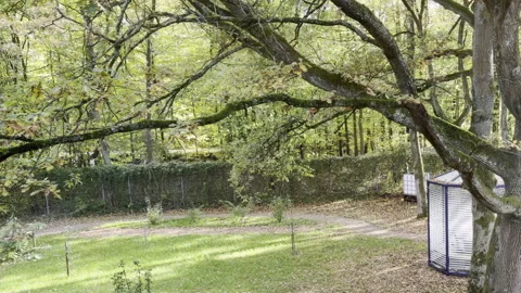 Garden in Fall / Autumn Vidéo 320890090