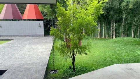 A garden featuring young trees, green lawns, and bamboo groves. Stock Footage 320502108