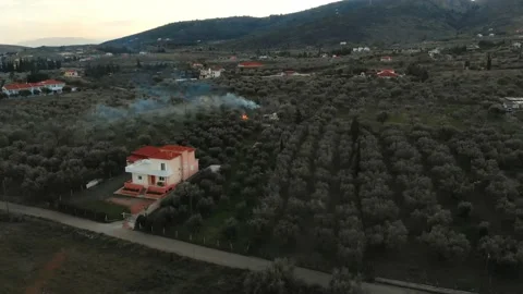 Garden Fire between olive fields at sunset Vídeo Stock 137794745