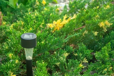 Garden flashlight Stock Photos