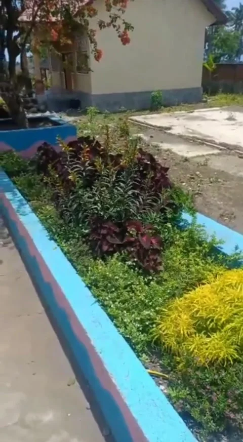 Garden flower Video stock 220976633