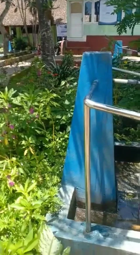 Garden flower Video stock 220978235