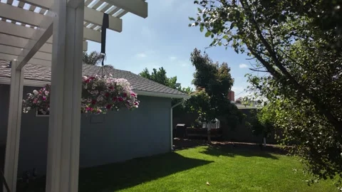 Garden flowerpot timelapse Stock Footage 278335616