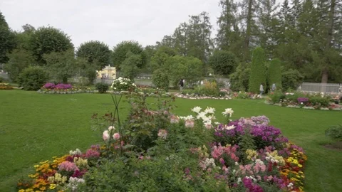 Garden with flowers Vidéo 108306155