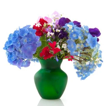 Garden flowers Stock Photos