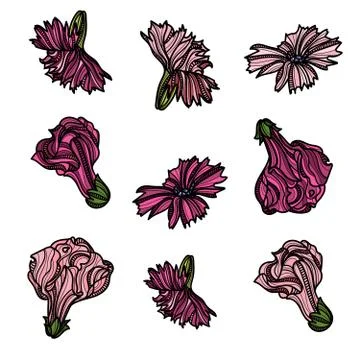 Garden flowers on white background. Stock Illustration