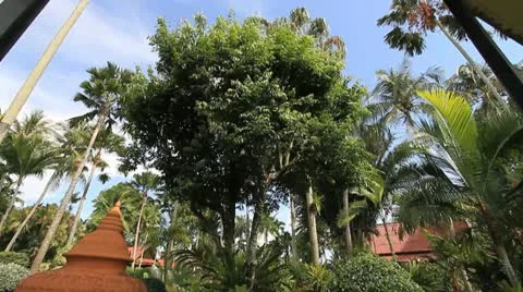 Garden Stock Footage 11280860
