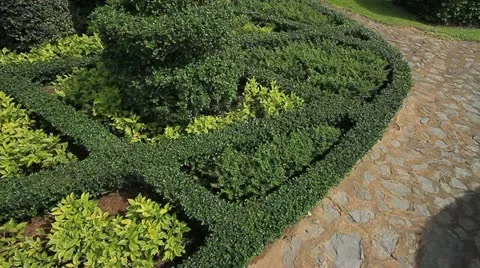 Garden Video stock 11281835