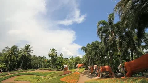 Garden Stock Footage 11285923