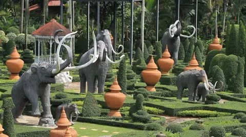Garden Stock Footage 11318414